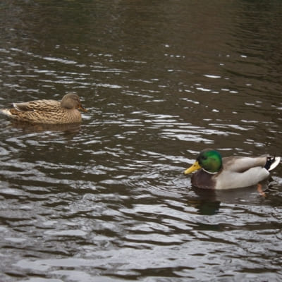 Viajes de estudio img 4666 resize